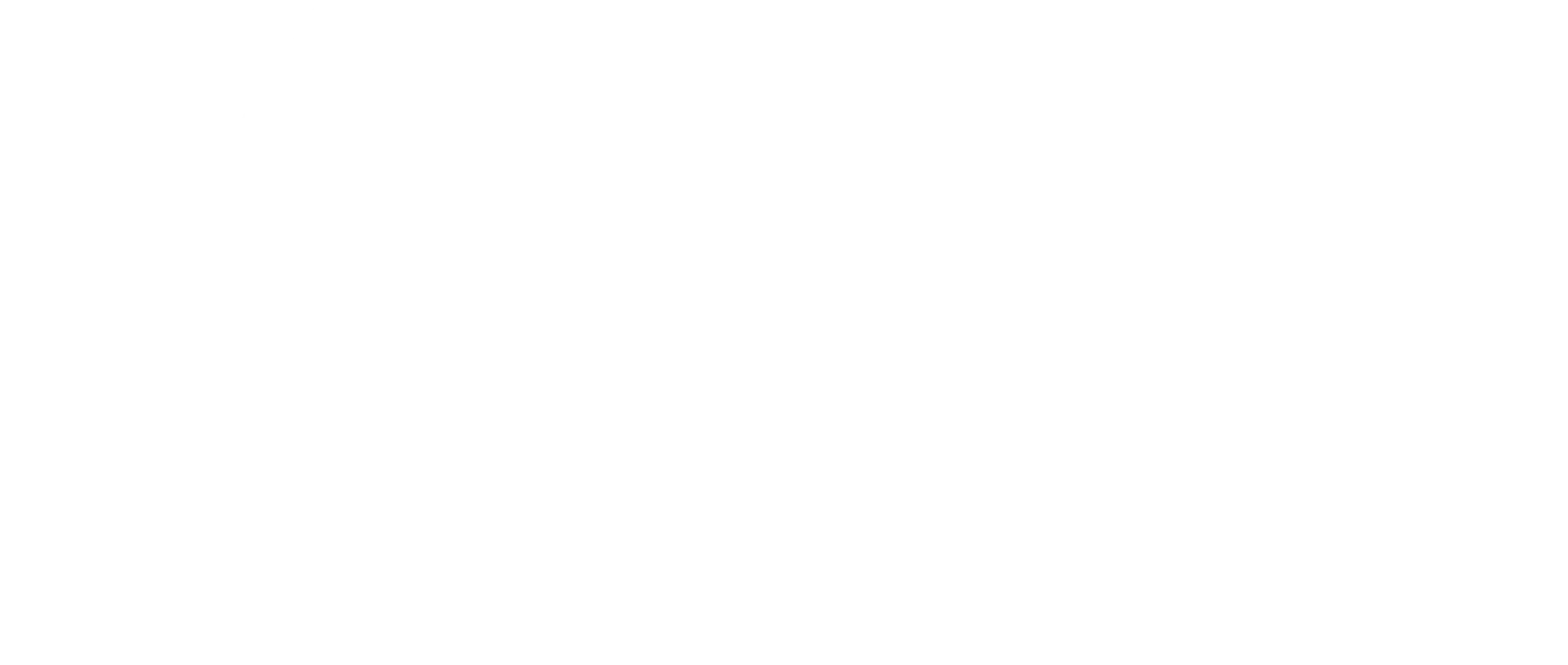 Antion