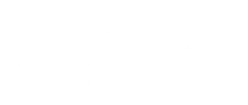 Antion